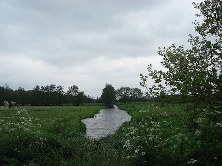 Surhuisterveen